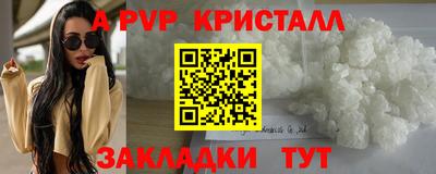 тгк Кингисепп