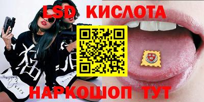 тгк Кингисепп
