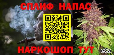 тгк Кингисепп