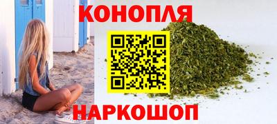 тгк Кингисепп