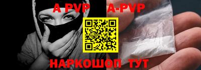 тгк Кингисепп
