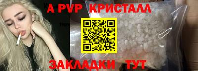тгк Кингисепп