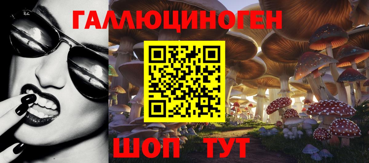 закладка  Вход с VPN  Галлюциногенные грибы прущие грибы  Крымск  Псилоцибиновые грибы мицелий 